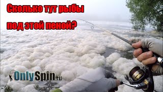 видео: Сколько рыбы под этой пеной? На что ловить в этой помойке? Ловля на спиннинг. Раздача на Москва реке картинка: Сколько рыбы под этой пеной? На что ловить в этой помойке? Ловля на спиннинг. Раздача на Москва реке