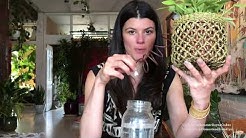 Ep 016: Cool Watering Hacks for Houseplants - Plant One On Me