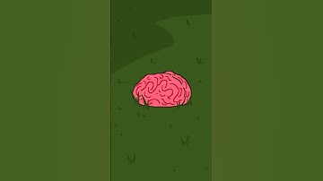 Nigel and Marmalade find a brain growing in their garden #animation