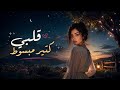 قلبي كتير مبسوط أنا ودي أشوفك ليان نور كامله 2026 mp3