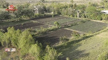 Solving Land Disputes in Kenya