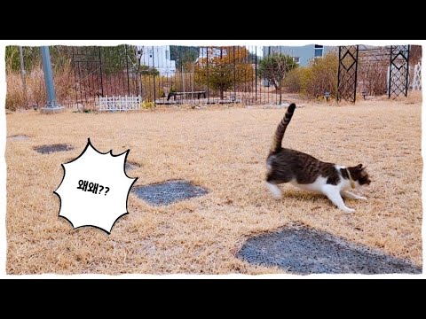 난 좋은데 니들도 좋니? 