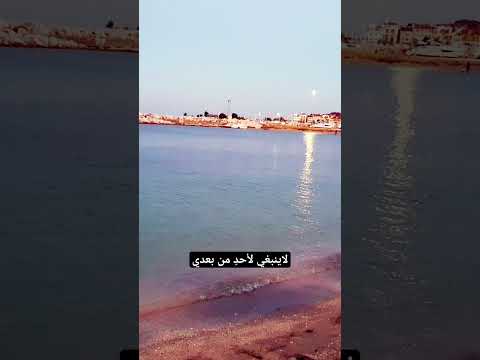رب اغفر لي وهب لي ملكا لا ينبغي لأحد من بعدي