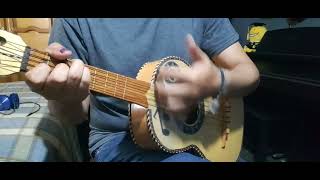 Aires del Mayad Fernando de la Mora Hombre Mariachi Vihuela Tutorial