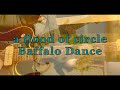 【a flood of circle】Baffalo Dance - guitar cover