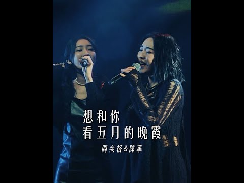 【想和你看五月的晚霞】閻奕格 Janice Yan ft. 陳華 LIVE