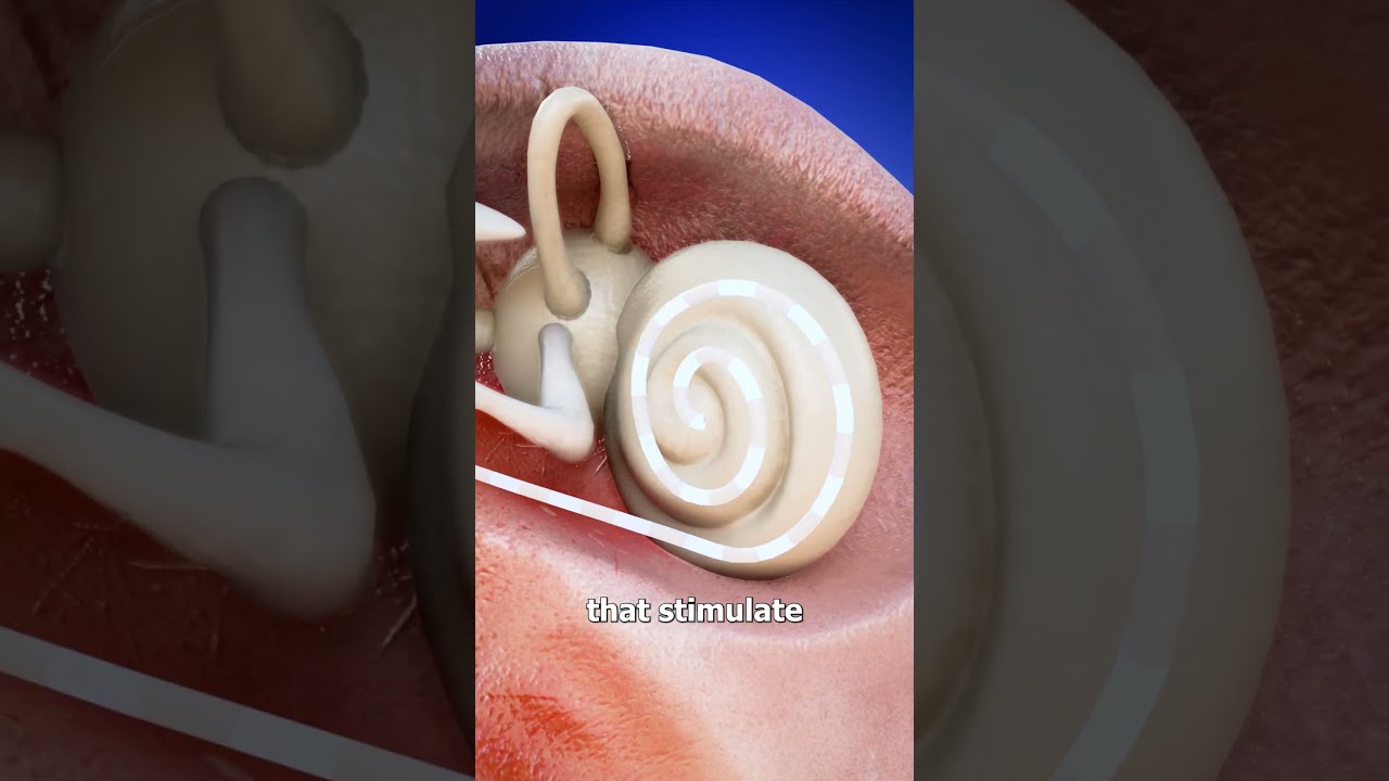 How Some Deaf People Can Hear 