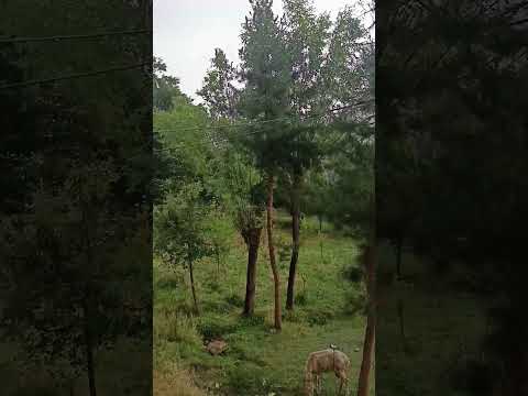 زادگاه شهرستان جرم سرزمین نور و انرژی