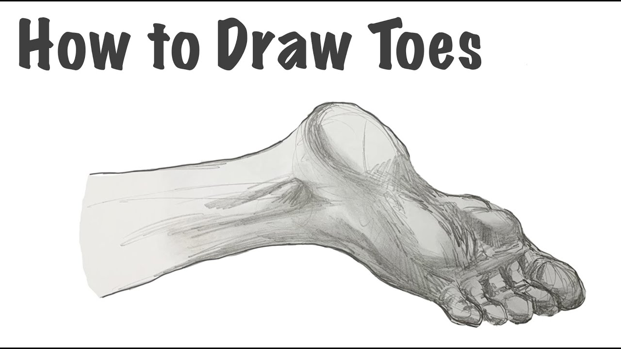 How to Draw Toes on a Foot YouTube