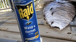 Raid and done! No more WASPS or HORNETS