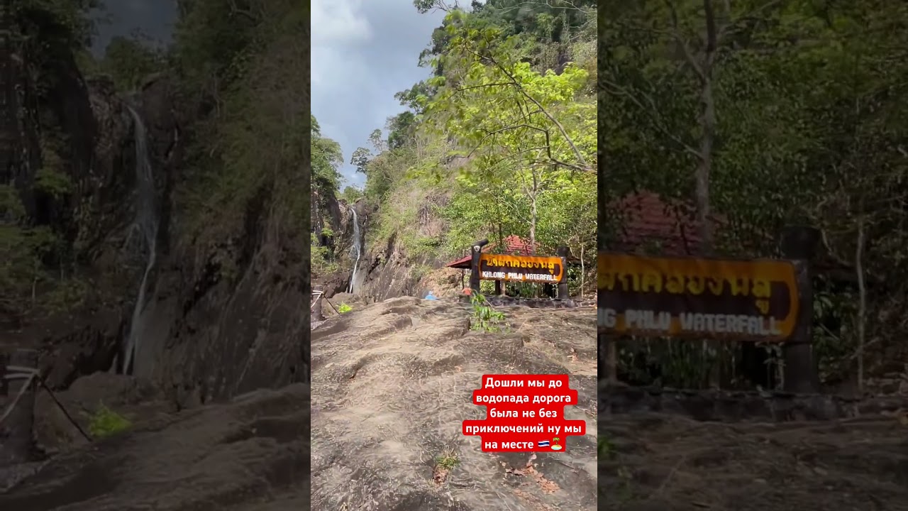 Шли шли и дошли 💯