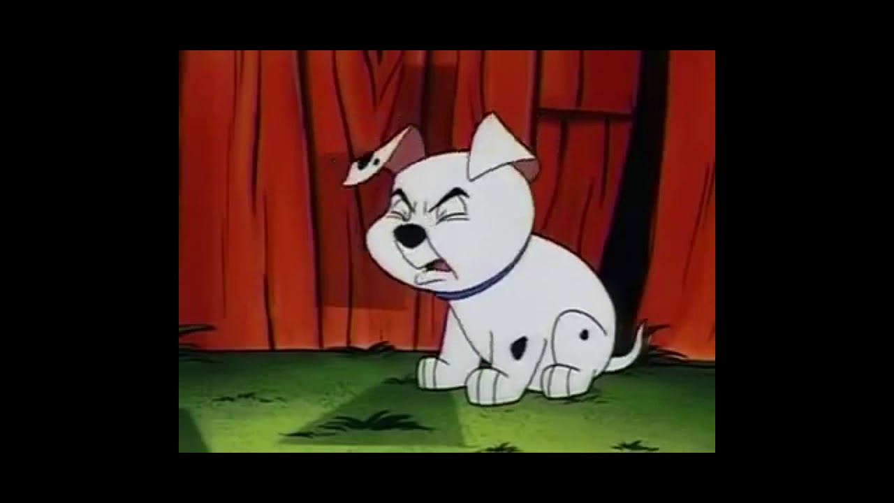 The Many Adventures of Banjo the Woodpile Cat Part 12 Banjo Visits