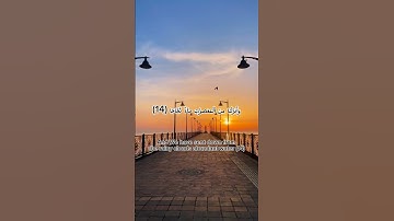 سورة النبأ بصوت عبد الرحمن مسعد | Surah El Nabaa #quran #quraan
