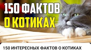 150 ИНТЕРЕСНЫХ ФАКТОВ О КОТИКАХ. Кот..............