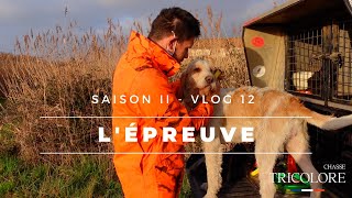 ★ Vlog 12 - L'épreuve - Chasse Cévennes et Camargue