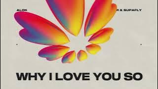 Alok, James Hurr & Supafly - Why I Love You So