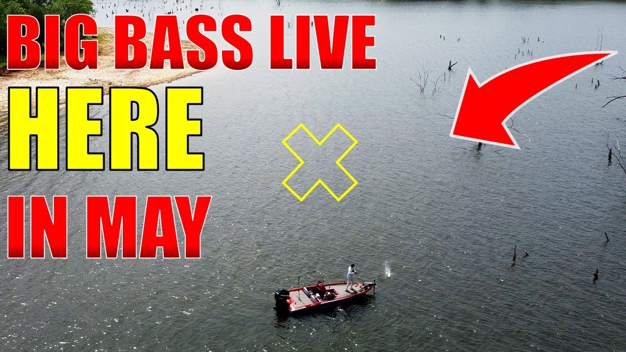 Catch BIG Bass In May…No Livescope Needed