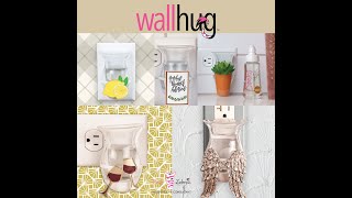 Pink Zebras Wall Hug And Soaks