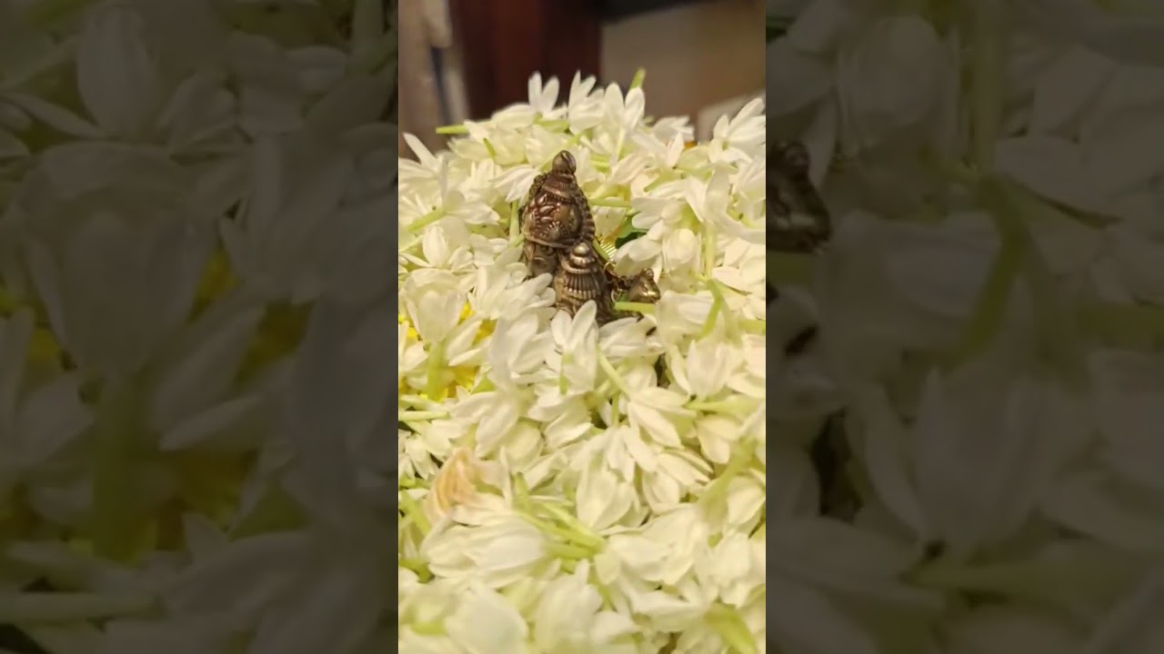 अधिक मास विशेष श्री लक्ष्मी- नृसिंह पूजन सेवा