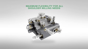 Double-Sided 8-Edge Shoulder Milling Platform: VSM890-12