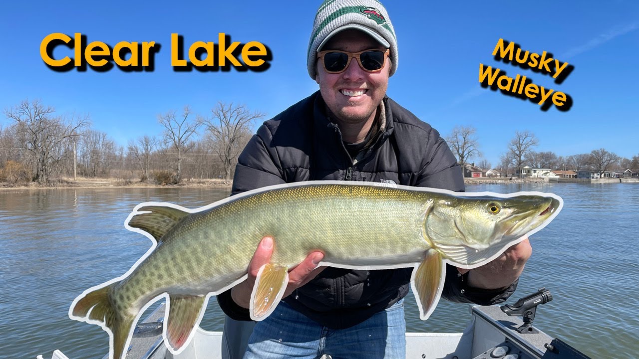 Iowa Muskie and Walleye  Cold Weather Action on Clear Lake 