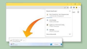Fix: Chrome Download Bar Not Showing at Bottom | Get Back Chrome Download Bar at Bottom