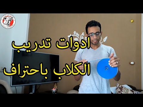 فيديو: أدوات تدريب الكلاب الأساسية