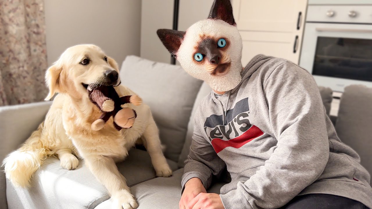 Golden Retriever Puppy Reacts to Cat Mask Prank!