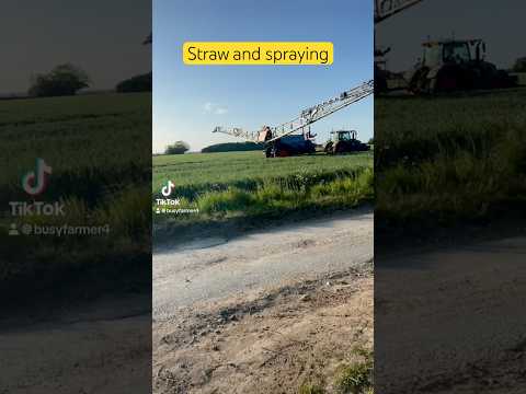 Straw and spray