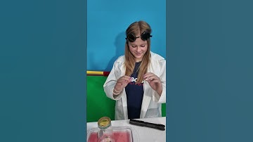 Assistant Science Experiment Using a Laser to Learn About Air Pressure