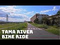 [ 4k ] Tama River, Tokyo - Sunny Bike Ride - 2019 - 4k 60fps - DJI Osmo Pocket