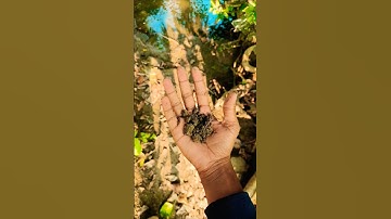 Những Vật Dụng Đa Năng & Tiện ích Trong Đời Sống Hiện Đại