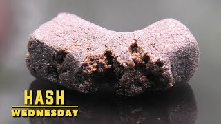 Afghan Horseman Hash Wednesday