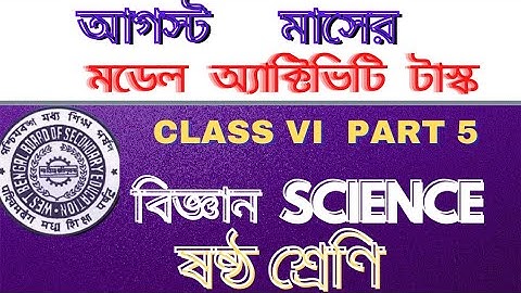 class6/science/paribesh o bigyan/new model activity task/august/part5