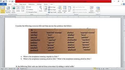 Morphological analysis - Correction of Prof.Derraz