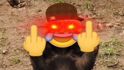 Honey Badger Don
