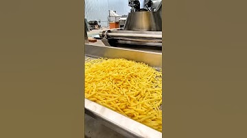 Fully Automatic French Fries Production Line | High Capacity Chips Fryer