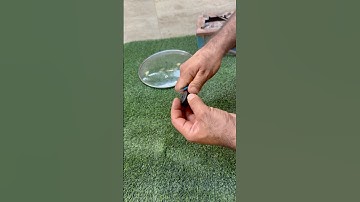 Simple Way to Make a Pot Lid #shorts #diy