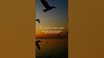 ياسر الدوسري ﴿هيهات هيهات لما توعدون﴾سورة المؤمنون |#quran #yasser_al_dosari