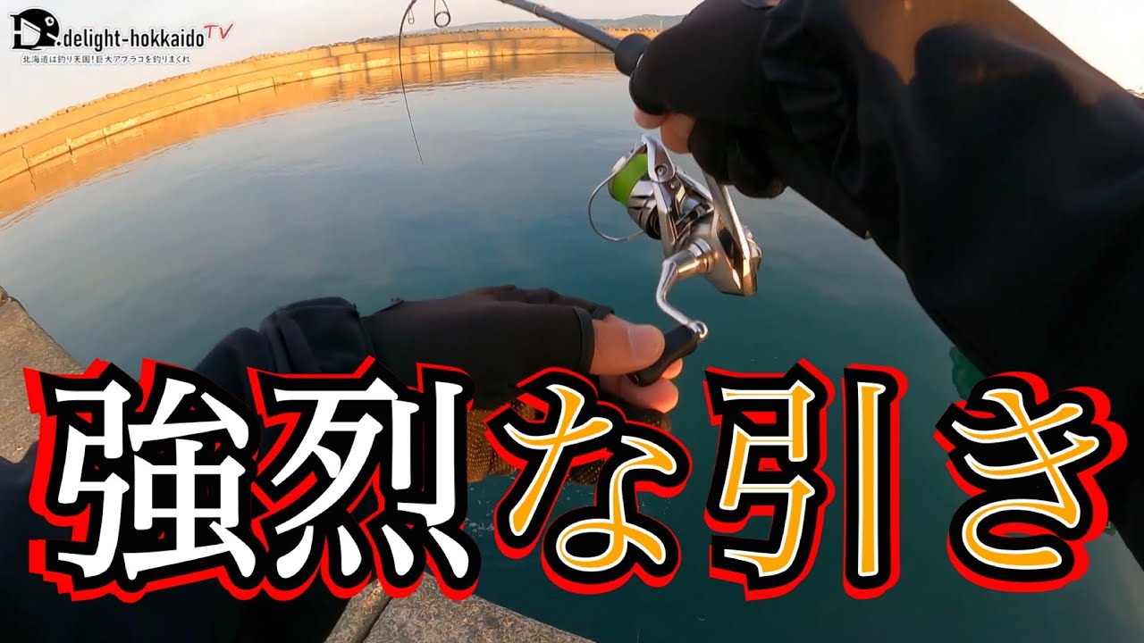 港内の静けさを切り裂く突然の猛烈ファイト|ロックフィッシュ - YouTube