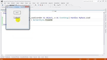 How to Customize Set Border Label, Button in VB NET 2012