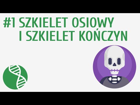 Szkielet osiowy i szkielet kończyn #1 [ Układ ruchu ]