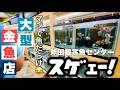 【関西屈指の大型店】混ぜるな危険 国産金魚と輸入金魚は一緒に飼える？ | 東南アジア産金魚は冬ヒーター無しでも平気？ |店員さんに教えていただきました😆 | 斧田観賞魚センター | @peperia