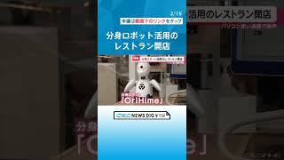 レストランの案内役は「分身ロボット」 スピーカーで会話も可能　愛らしい身振り手振りで客とコミュニケーション #チャント