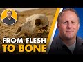 A Biology Professor Explains How Decay from Insects Helps Solve Murders