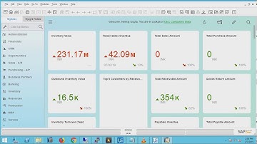 Robotic Process Automation in SAP B One