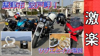 【Ninja250】バイク４台で波戸岬にサザエを食べに行ってみた！