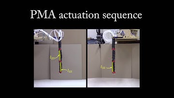 Dynamics for variable length multisection continuum arms (3)