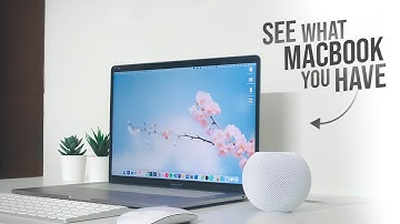 How to See What Macbook You Have (multiple ways)
