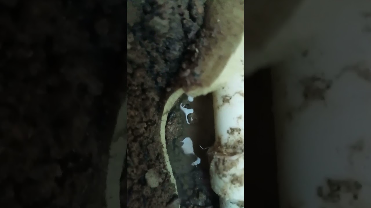 duvar kabarmasınin nedeni şu kacagı